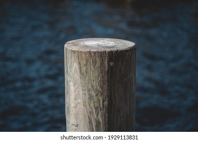 Dock wooden pile log for docking boats and keeping pier stable. Macro shot artistic angles and moody. River boat launch for sailboats and paddle boats at park. - Powered by Shutterstock