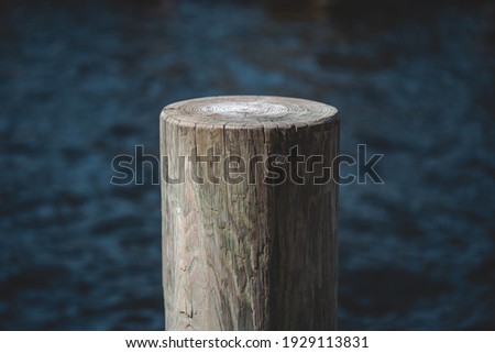Dock wooden pile log for docking boats and keeping pier stable. Macro shot artistic angles and moody. River boat launch for sailboats and paddle boats at park.