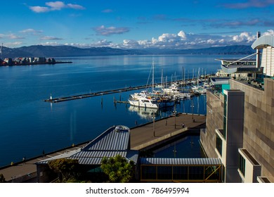 Docks By Te Papa Museum, Wellington