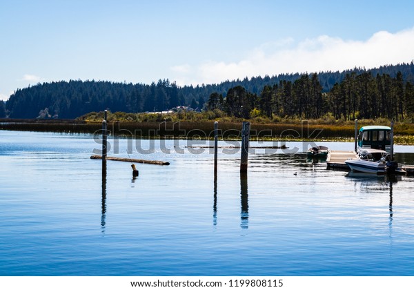 Docks Cottage Grove Oregon Stock Photo Edit Now 1199808115