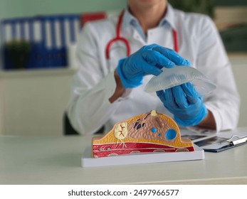 Doctor anatomical model of breast and silicone breast implant - Powered by Shutterstock