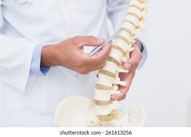 Doctor With Anatomical Spine In Clinic
