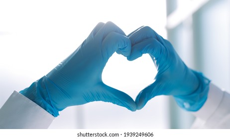 Doctor In Blue Gloves Showing A Heart Sign .