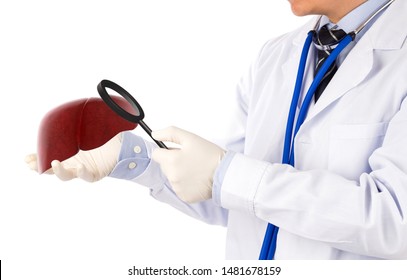 Doctor Check 3D Liver , Concept Fatty Liver