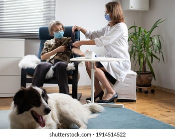 Doctor Consulting Elderly Female Patient At Home Dog In Foreground