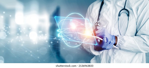 Doctor In Containment Suit Using A Tablet Pen Technology With 3d Hologram Display, Female Anatomy Diagnosis Analysis , Medical Healthcare Specialist Worker Banner Copyspace Hospital Background