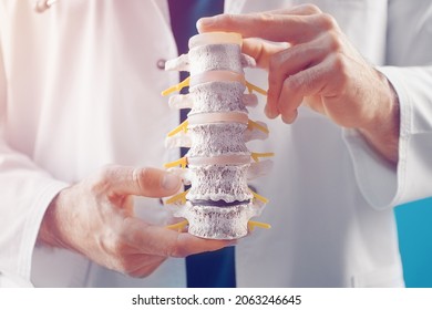 The doctor demonstrates the departments of the spine vertebrae, hernia and its injuries in the medical office
 - Powered by Shutterstock