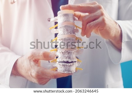 The doctor demonstrates the departments of the spine vertebrae, hernia and its injuries in the medical office

