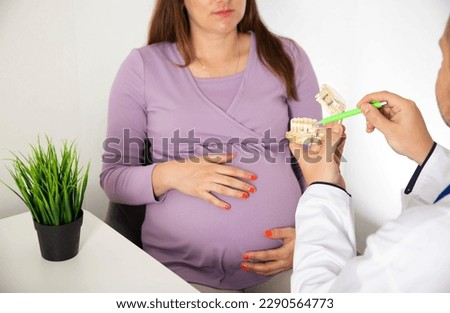 doctor dentist holds a model of the dental jaw in his hands against the background of a pregnant woman. The concept of dental treatment during pregnancy.