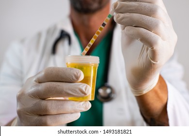 Doctor Doing Test Strip Test Or Labstix For Urine Infection
