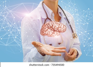 Doctor examines a human brain on a blue background. - Shutterstock ID 735494500