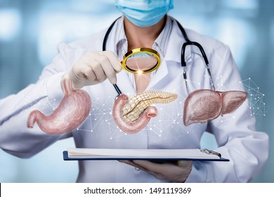 The doctor examines the internal organs of the digestive system of the body.