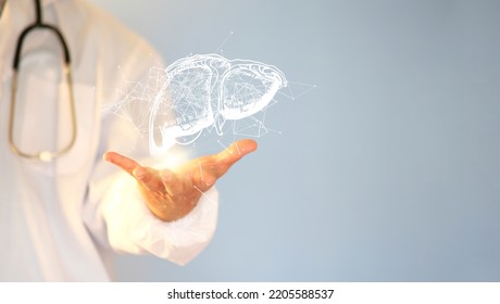 Doctor Examines The Liver Hologram While Reviewing The Test Results On The Virtual Interface And Performing Data Analysis. Donation, Cutting-edge Technologies, And Future Medicine All Relate To Liver.