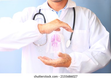 Doctor Examines The Lungs Hologram, Verifies The Test Results On The Virtual Interface, And Analyzes The Data. Pneumonia, Donation, Breakthrough Technology, And Future Medicine