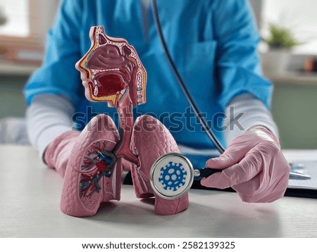 A doctor examines a model lung for signs of infection and viruses
