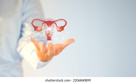 Doctor examines the test results. There is discussion of ovarian disease, ectopic pregnancy, painful periods, surgery, cutting-edge technologies, and future medicine. - Shutterstock ID 2206840899