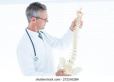 Doctor Examining Anatomical Spine In Medical Office