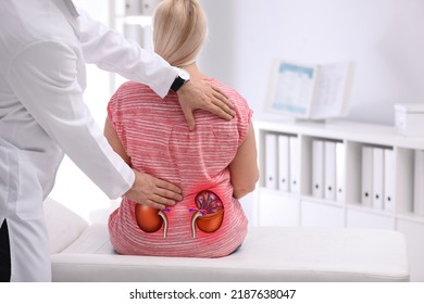 Doctor examining patient with kidney pain in clinic - Shutterstock ID 2187638047