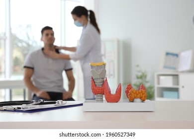 Doctor examining patient in office, focus on plastic model of healthy and afflicted thyroids - Shutterstock ID 1960527349
