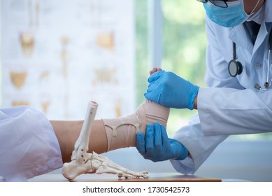 Doctor examining and training broken leg patient in hospital - physical therapy concept Orthopedic ankle doctor Doctor explains a patient bone structure of the legs using the layout of the foot 