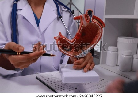The doctor explained gastritis using a model. Treatment options were discussed. Understanding the condition better helps in managing it effectively.