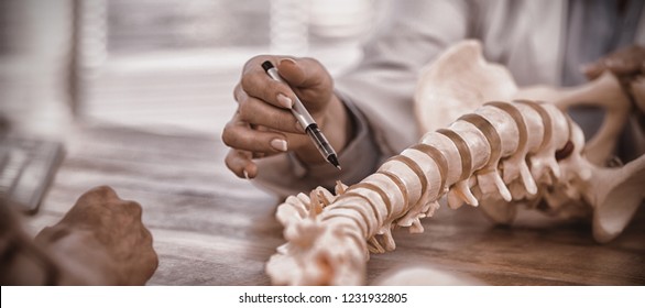 Doctor explaining anatomical spine to patient in medical office - Shutterstock ID 1231932805