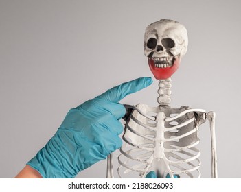 Doctor Forefinger Pointing To Skeleton Lower Jaw With Red Spot. Mouth Injury, Infection. Skeletal System Anatomy, Body Structure, Medical Education Concept.