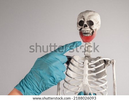 Doctor forefinger pointing to skeleton lower jaw with red spot. Mouth injury, infection. Skeletal system anatomy, body structure, medical education concept.