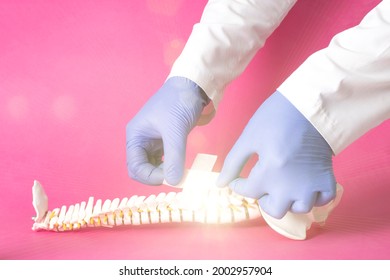 Doctor glues a medical plaster on the mock up of the human spine, pink background. Spinal fracture treatment concept, microdiscectomy and vertebroplasty. Copy space for text, osteochondrosis - Powered by Shutterstock