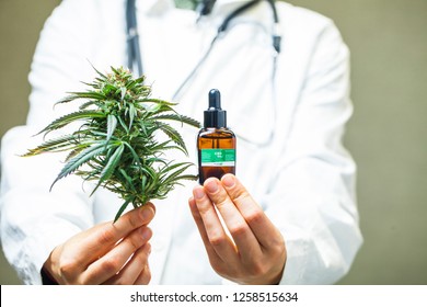 Doctor Hand Hold And Offer To Patient Medical Marijuana And Oil. Cannabis Recipe For Personal Use, Legal Light Drugs Prescribe, Alternative Remedy Or Medication,medicine Concept