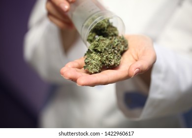 Doctor Hand Hold And Offer To Patient Medical Marijuana And Oil. Cannabis Recipe For Personal Use, Legal Light Drugs Prescribe, Alternative Remedy Or Medication,medicine Concept