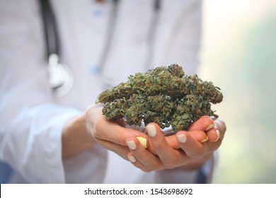 Doctor Hand Hold And Offer To Patient Medical Marijuana And Oil. Cannabis Recipe For Personal Use, Legal Light Drugs Prescribe, Alternative Remedy Or Medication,medicine Concept