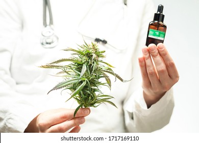 Doctor Hand Hold And Offer To Patient Medical Marijuana And Oil. Cannabis Recipe For Personal Use, Legal Light Drugs Prescribe, Alternative Remedy Or Medication,medicine Concept