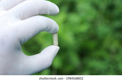 Doctor Hand Holding Herbal Medicine On Organic Herb Tree Leaf For Health Care Eating In Daily Life