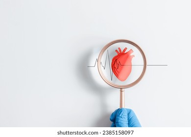 Doctor hand holding magnifying glass focus heartbeat icon on white background for checking the function of the patient heart. medical check up, heart attack, cardiology, help from specialist. - Powered by Shutterstock