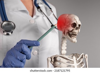 Doctor Hand Pointing With Pencil To Skeleton Skull With Red Point. Neuralgia, Headache. Skeletal System Anatomy, Medical Education Concept. Woman In Lab Coat With Stethoscope. High Quality Photo