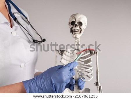 Doctor hand pointing to skeleton collarbone with red spot. Clavicle pain. Arthritis, infection, fracture. Skeletal system anatomy, body structure, medical education. High quality photo