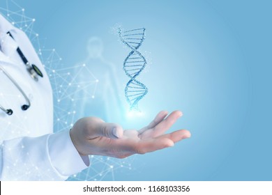 Doctor Hand Showing Dna . Concept Of Research And Testing.