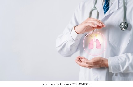 doctor hands holding lungs organ , world tuberculosis day, world no tobacco day, lung cancer, Pulmonary hypertension, copd, eco air pollution,  pneumonia, donation, respiratory and chest concept