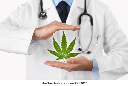 doctor hands with marijuana symbol medical concept