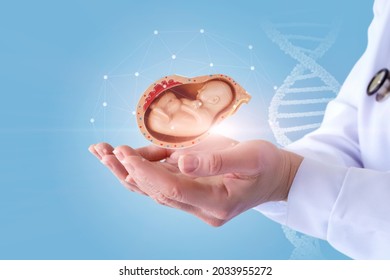 Doctor hands shows the embryo of a child on a blue background. - Powered by Shutterstock