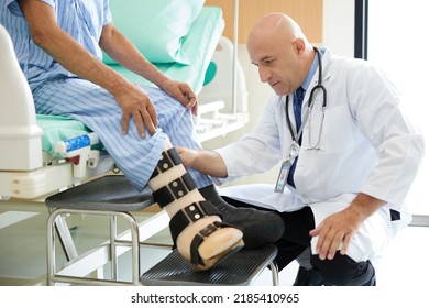 15,505 Prosthetic doctor Images, Stock Photos & Vectors | Shutterstock