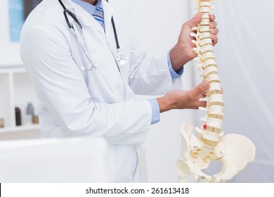 Doctor Holding Anatomical Spine In Medical Office