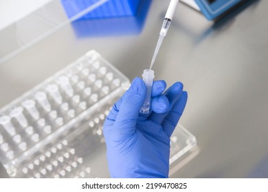 Doctor Holding Blood Tube Test In The Research Laboratory.Corona Virus Pandemic Concept.Coronavirus Vaccine Development