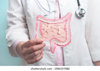 Doctor holding decorative model intestine. Gastroenterology, healthy digestion, microbiome intestine concept. Close up - Shutterstock ID 1984197080