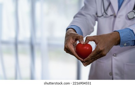 Doctor Holding Heart In Hand Concept Of Cardiovascular Disease Hospital Life Insurance Concept: World Heart Health Day Concept