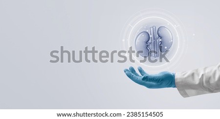 Doctor holding human kidney organ, Health checkup Imagine de stoc © 