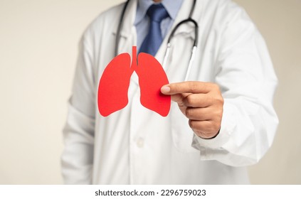 Doctor holding a lung shape symbol while standing in the hospital. World tuberculosis day, world no tobacco day, lung cancer, pulmonary hypertension, pneumonia, Close-up photo. Medical and healthcare