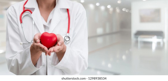 Doctor Holding A Red Heart At Hospital Office. Medical Health Care And Doctor Staff Service Concept.