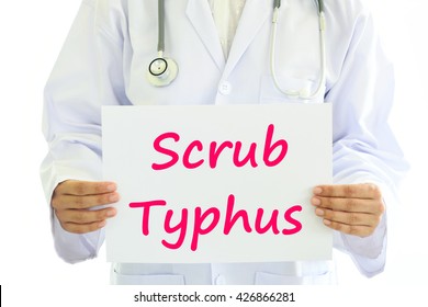 Doctor Holding Scrub Typhus Card In Hands
